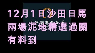 （ 元宇宙賽馬頻道12 月1日沙田日馬兩場泥地精選過關有料到 [upl. by Robi354]