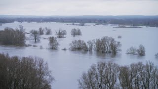 Hochwasser an der Elbe  Schwesig und Backhaus in Boizenburg [upl. by Chapin]