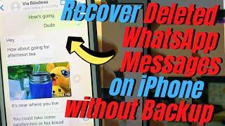 How to Recover Deleted WhatsApp Messages from iPhone Without Backup  iPhone WhatsApp Recovery [upl. by Gaston]