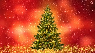 Twinkle Lights Christmas Tree 9 Colored Backgrounds Free Download Merry Christmas [upl. by Anhpad]