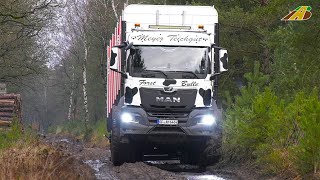 Großaktion Hackschnitzel Produktion Teil 1 Holzverladung im Wald  Holztransport mit Spezialfahrzeug [upl. by Nylzor497]