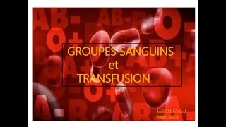 HEMATOLOGIE GROUPES SANGUINS et TRANSFUSION [upl. by Alfy106]