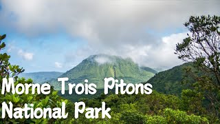 Exploring Morne Trois Pitons National Park Dominicas Natural Wonder [upl. by Angelica]