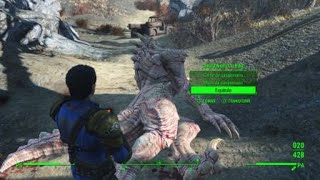 Fallout 4 Sanguinario albino [upl. by Artenahs]