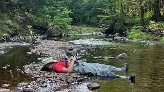 Brook Trout Fishing in Michigan’s Upper Peninsula  Mountain Trout Fishing [upl. by Fernas]