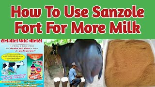 How To Use Sanzole Fort Bolus For More MilkCowBuffalovpcowlover [upl. by Inattirb]