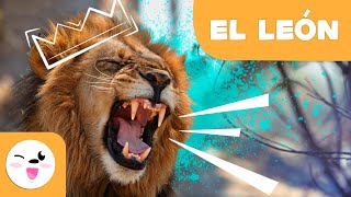 EL LEÓN 🦁 Animales para niños 🌳 Episodio 1 [upl. by Chiaki]