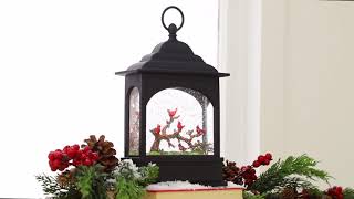 Holiday 2020 Cardinal Lighted Water Lantern by RAZ Imports [upl. by Eilac822]