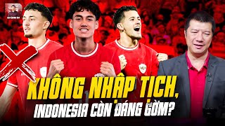 AFF CUP 2024  ĐT INDONESIA CÒN MẠNH KHÔNG KHI THIẾU NHẬP TỊCH TẠI AFF CUP 2024 [upl. by Nagaet]