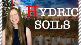 HYDRIC Soils 8 Things You Should Know [upl. by Sherrer334]