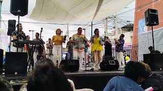 La roba maridos🎺 Ensamble   cumbia mexico peru colombia 🪇 [upl. by Ennaihs]