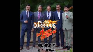 Mix De Puros Corridos De Los Tigres Del Norte [upl. by Devehcoy]