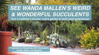 See Wanda Mallens Weird amp Wonderful Succulents [upl. by Alamap681]