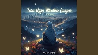 Tera Kiya Meetha Laagai [upl. by Malone]