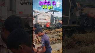 Ajira firts mini vlogs odia minivlog odiaminivlog shorts [upl. by Shakti80]