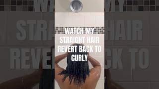 Watch my silk press revert naturalhair silkpress [upl. by Marlow]