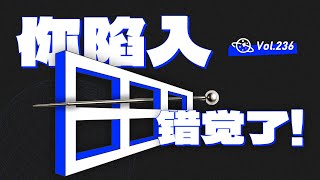 【球村】神奇的視錯覺現象！你的眼睛是如何欺騙大腦的？ [upl. by Arul]