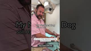 What to Expect After Neutering Surgery by Marc Smith DVM MS [upl. by Inava361]