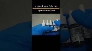 Como hacer las reacciones febriles laboratorioclinico tutorial shorts [upl. by Eicnahc685]