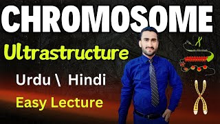 Ultrastructure of Chromosomes  Nucleosome  Histone Proteins  Shahzad Rasool Urdu lecture [upl. by Nibot633]