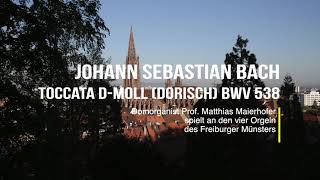 Johann Sebastian Bach Toccata dMoll dorisch BWV 538 Freiburger Münster [upl. by Ybreh437]