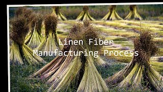 How linen is manufacturedlinen fiber manufacturing process [upl. by Anehsuc]