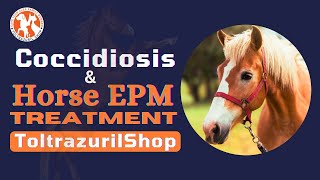 Horse Coccidiosis amp Horse EPM Treatment with Toltrazuril 5  Your Comprehensive Guide [upl. by Ssepmet]