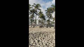 Yenser Del Nogal  Beach Volleyball Live Stream [upl. by Nairolf]