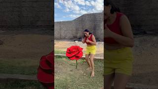 Aguando a planta shortvideos humor canaldecomedia comedyshorts comedy [upl. by Brier]