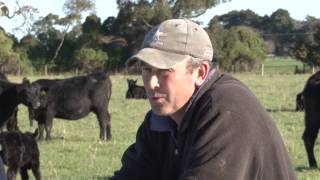 PGG Wrightson Stud Tour  Ep 19  Te Mania Angus  Part One [upl. by Leduar]