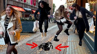 Craziest screams with huge spider prank [upl. by Enala]