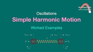 The Dynamics of a TwoBlock Spring System simpleharmonicmotion [upl. by Ruben]