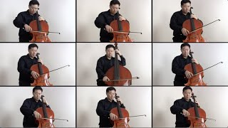 Dittersdorf Concerto for Double Bass and Cello Ensemble 1st mvt  DaXun Zhang [upl. by Anev]