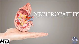 Nephropathy Everything You Need To Know [upl. by Maiah]