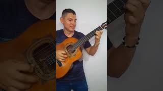 La Ley Del Monte  Vicente Fernandez requinto reels músicaranchera [upl. by Ahteral116]