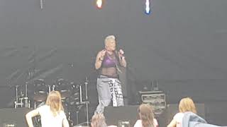 Alecia Karr Pink tribute  What About Us  Doglovers Festival 482019 [upl. by Attenahs]