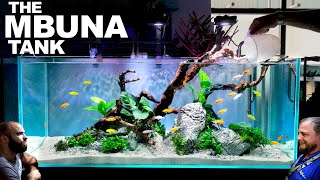 The Mbuna Tank EPIC 4ft FIRST TIME Aquarium Aquascape Tutorial [upl. by Clo]