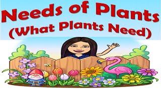 Needs of Plants  What Plants Need  Science  Kindergarten  Teacher Beth Class TV [upl. by Airdnahs]