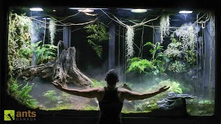 I Built a Giant Cloud Rainforest Vivarium [upl. by Arocat131]