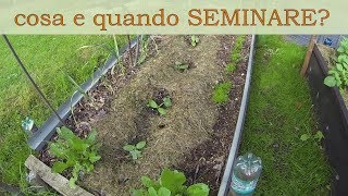 Consociazioni vegetali e costruzione del terreno panoramica e riflessioni [upl. by Elton54]