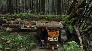 Build survival BUNKER in the Wild  Overnight bushcraft camp alone  Outdoor cooking [upl. by Eendys]