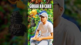 Gobar ka cake 🎂🎉😡😡😡 nishantsinghvlogs minivlog vlog nishantsingh funny [upl. by Hansen553]