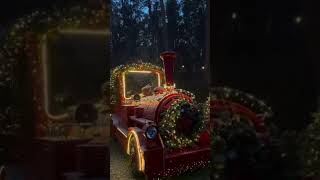 Christmas is coming  Subscribe and like more videos 🎅🌟 Christmas Christmas Festive Shorts [upl. by Krum]