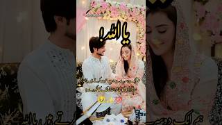 Mohabbat ☺️✨💯  urdushayri lovestatus love urdu [upl. by Aip]