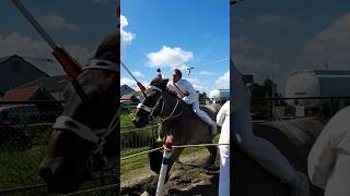 🐎 Ringrijden Aagtekerke Netherlands🇳🇱 TravelwithHugoF ringrijden aagtekerke horses [upl. by Nimrak]