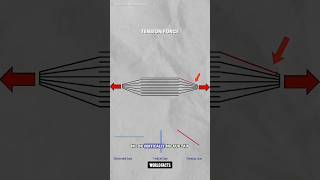 Books interlock science sciencefacts [upl. by Hagai]