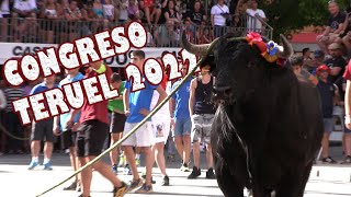 ESPECTACULAR Congreso toro en cuerda Teruel 2022 [upl. by Lussi616]