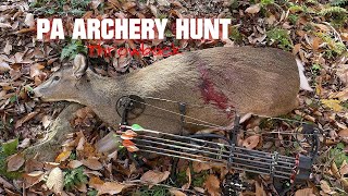 BOWHUNTING DEER from the GROUND  PA Archery Deer Hunt  THROWBACK HUNT [upl. by Acinot656]