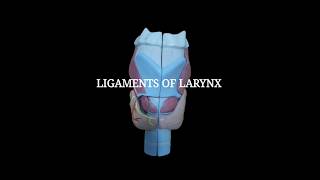 Ligaments of Larynx  Extrinsic amp Intrinsic ligaments [upl. by Mirabelle]