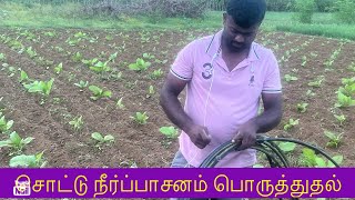 சொட்டு நீர்ப்பாசனம் அமைக்கும் முறை 🌱Drip Irrigation System Used🥬 [upl. by Thisbee]